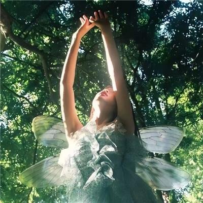 坤蒂拉娜:重返秘林